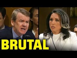 Democrat COMPLETELY LOSES IT On Tulsi Gabbard For Being A Russian Asset