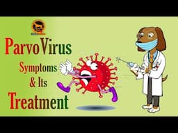 Parvovirus treatment | Parvovirus symptoms in dogs | Bengali | QDogS