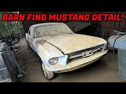 We Found The DIRTIEST Ford Mustang Sitting in a Barn....Can it be Restored?