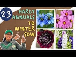 23 Cool Cold Hardy Annual Flowers To Winter Sow For Early Blooms & Cut Flowers