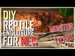 HOW TO MAKE a CUSTOM DIY REPTILE ENCLOSURE for your LIZARD