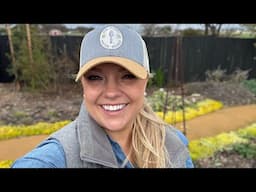 Windy Gardening Day! Pruning Rise Up Emberays Rose, Identifying Plants and Pests in the Garden