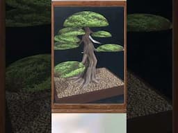 The Surprisingly Simple Technique to make a Beautiful bonsai apex