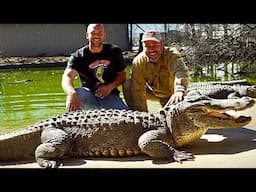 GIANT Alligators & Wild Encounters at a Snake Farm Zoo! 🐊🐾