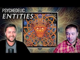 Mind-Blowing Psychedelic "Entity Encounters" | Podcast Clip with Dan Such