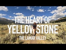 Hiking 40 Miles ALONE in Yellowstone National Park |  Backpacking the Lamar Valley