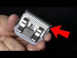 Dangerous Dog Grooming Clipper Blade Mistake You NEED To Know