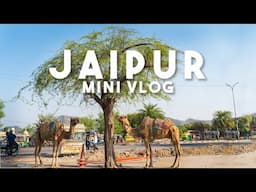 JAIPUR Mini Vlog ( Sony A7III )