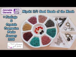 Adornable Elements Miyuki 11/0 Seed Beads of the Month Club + Findings & Crystals Companion Packs