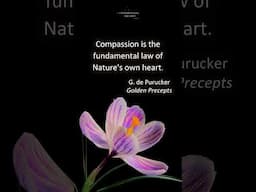 "Compassion is the fundamental law of Nature's own heart."