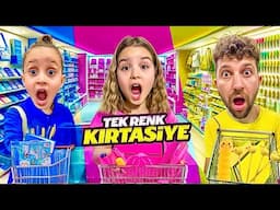 PEMBE SARI MAVİ TEK RENK KIRTASİYE ALIŞVERİŞ VLOG !! KUZEY ELİF NAPCAKSINIZ ??