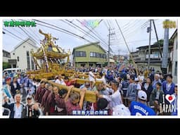 令和６年　有馬神明神社　 例大祭　 本社最大級神輿立派な渡御　迫力満点です（ video63 ）　　。