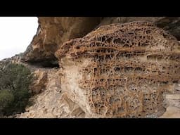 4000 Year-Old Pictographs of Seminole Canyon, Texas