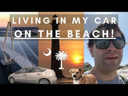 Living in my Prius AT THE BEACH in South Carolina! + Life Update & Where I've Been