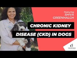 Chronic Kidney Disease (CKD) in Dogs featuring Shiva Greenhalgh (Episode 75)