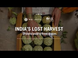 India's Lost Harvest: Understanding Food Losses