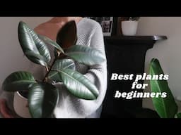 Super Easy Care Houseplants for Beginners | Unkillable plants that are easy to care for 🌱