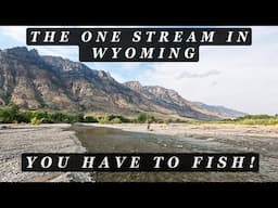 This is the ONE stream in WYOMING you have to fish!