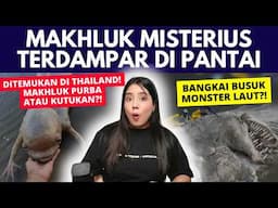 Makhluk2 MISTERIUS yang TERDAMPAR di PANTAI!