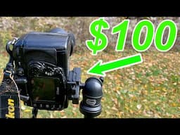 Nikon D200: $100 Urban Landscape Challenge