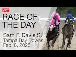 DRF Saturday Race of the Day | Sam F. Davis Stakes | February 8, 2025