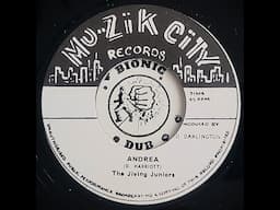 THE JIVING JUNIORS - Andrea [1962]