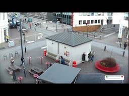 The World Famous Icelandic Hotdog Stand LIVE!