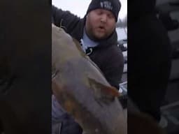 That is NOT a Walleye!! #fishing #walleye #catfish