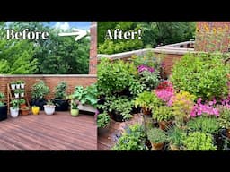 INCREDIBLE Container Garden Transformation✨🪴 Reviewing The Last 4 Years Of My Garden!