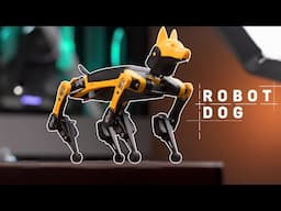 Meet My New Pet - Petoi Bittle The Bionic Dog Robot (Ep - 05)