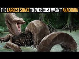 The Largest Snake To Ever Exist Wasn't Anaconda