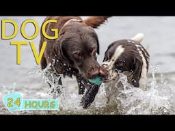 DOG TV: Video Entertain for Dogs to Watch Help Relax & Anti-Anxiety - Best Collection Music for Dogs