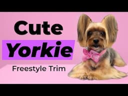 Yorkie Freestyle Haircut. KiKi was trimmed in an Asian Fusion Inspired Style with Butterfly ears.