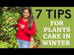 How To Keep Your Plants Alive During the Winter||Do's & Don'ts:Winter care tips for Plants