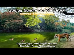 Sanjay Gandhi National Park is NOT What You THINK | Complete SGNP Guide 2024 |Borivali National Park