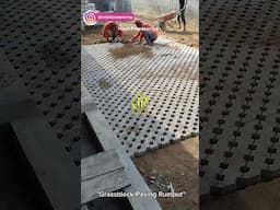 #pavingrumput #paving #pavinggrassblock #grassblock #paving #pavingtaman #pavingblock