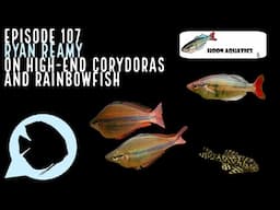 Ep. 107 - Ryan Reamy on High-End Corydoras and Rainbowfish