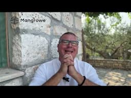 Mangrowe Drops - Dopamin No3