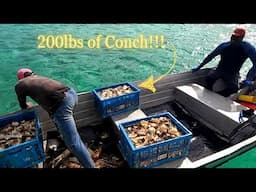 How Locals Clean Queen Conch...FAST! (Day 10/100 Day Water World Challenge)