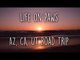 Life on Paws | Road Trip To Arizona, California & Utah