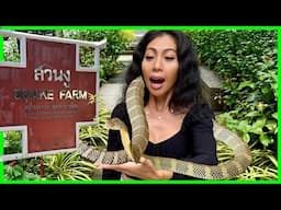 SECOND OLDEST SNAKE FARM IN THE WORLD | IN THE MIDDLE OF BANGKOK