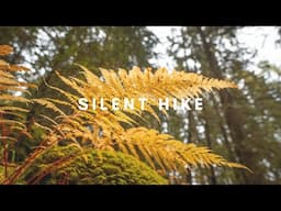 #52 Silent hike in a Swiss forest with Sony A7IV + 20 mm f1.8 G & 50 mm f1.8 (calming music)