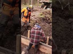 जर्मनी के दलदली इलाकों को संवारा जा रहा है... [Germany’s muddy affair: wetland restoration]