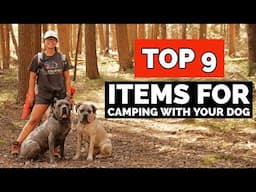 9 MUST HAVE Items for Camping with Your Dog - Living with a Cane Corso