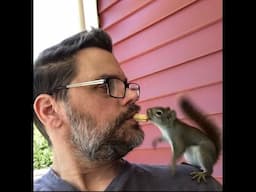 Squirrel Fun