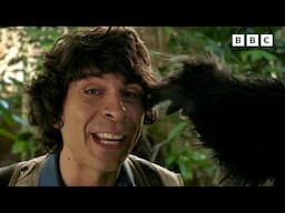 Monkeys & Birds | Chimps, Gorillas and Flamingos | Andy's Amazing Adventures