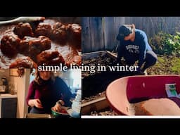 Simple Living in Winter | Fruit Harvest, Winter Gardening, and Meatballs in Sauce