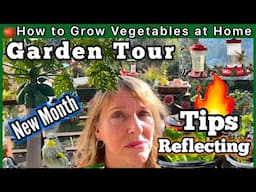 Garden Tour Growing CHEAP Vegetables & Herbs EASY Gardening TIPS for Beginners, Turmeric, Fires Over