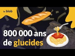 Pourquoi mangeons-nous autant de glucides ? La réponse dans l’ADN de nos ancêtres | Actu de science