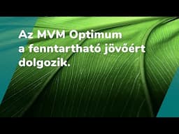 MVM Optimum